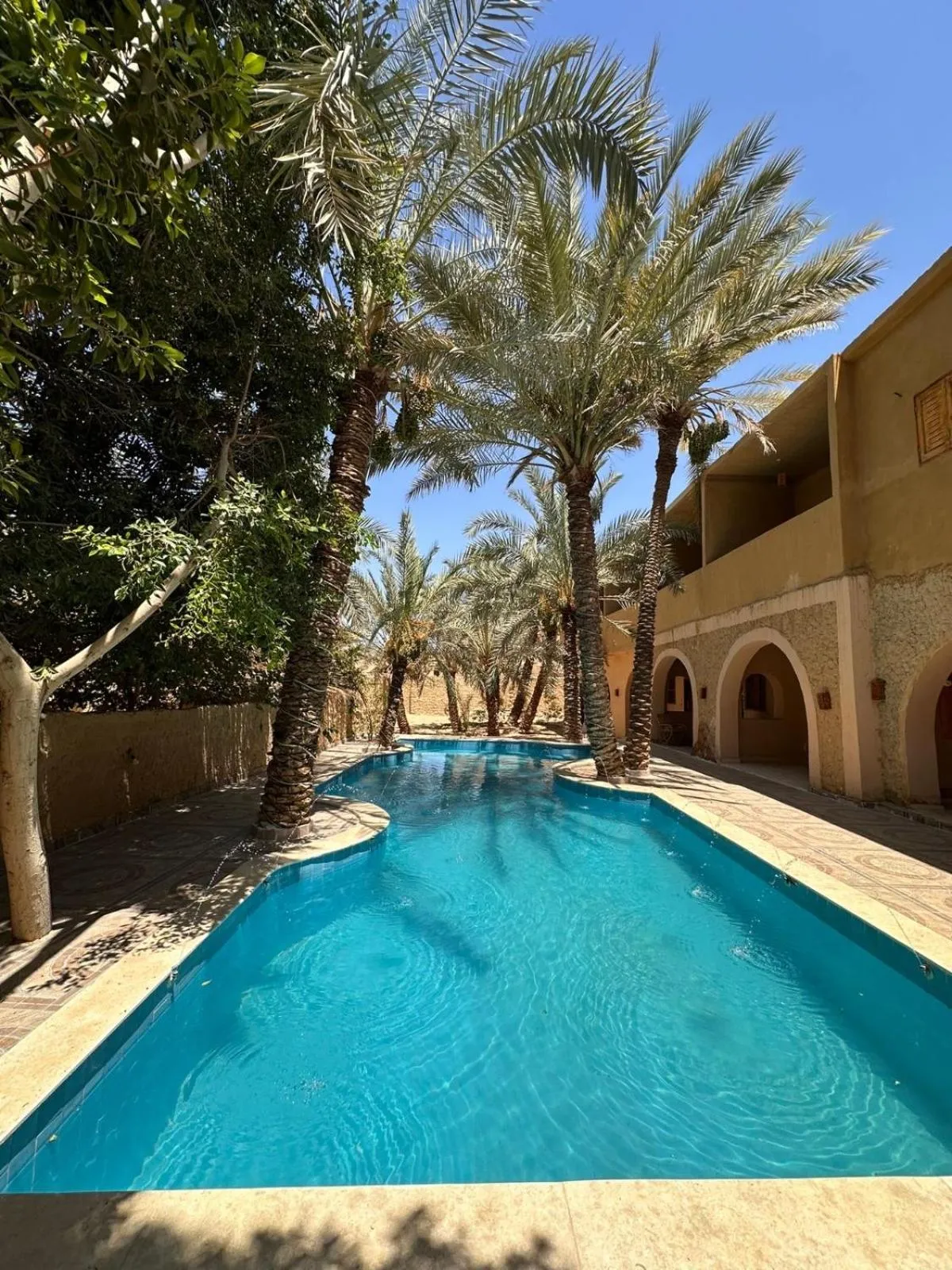 Day in Nour El Waha Hotel