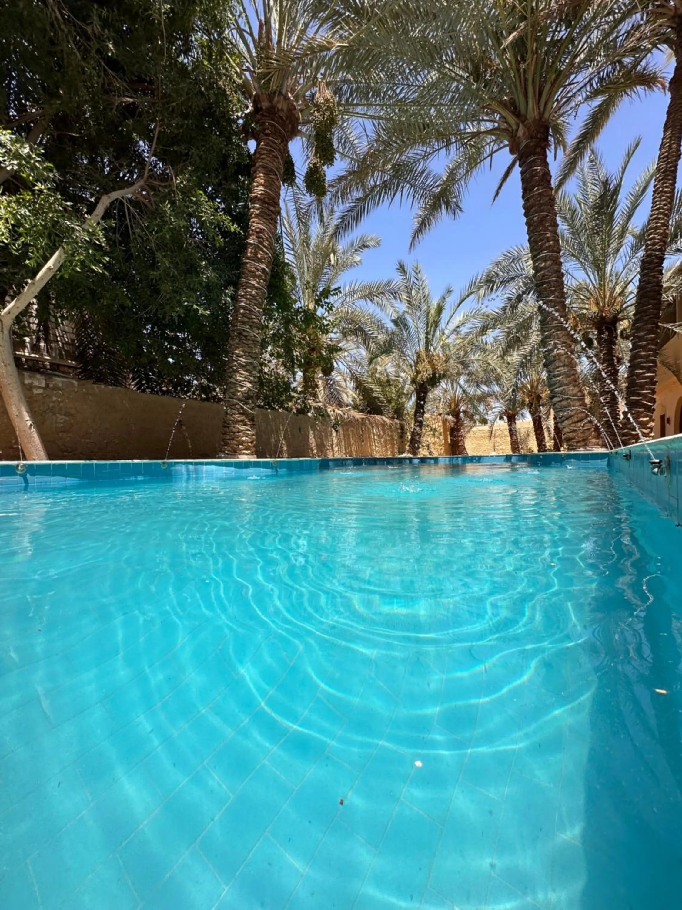 Pool view in Nour El Waha Hotel