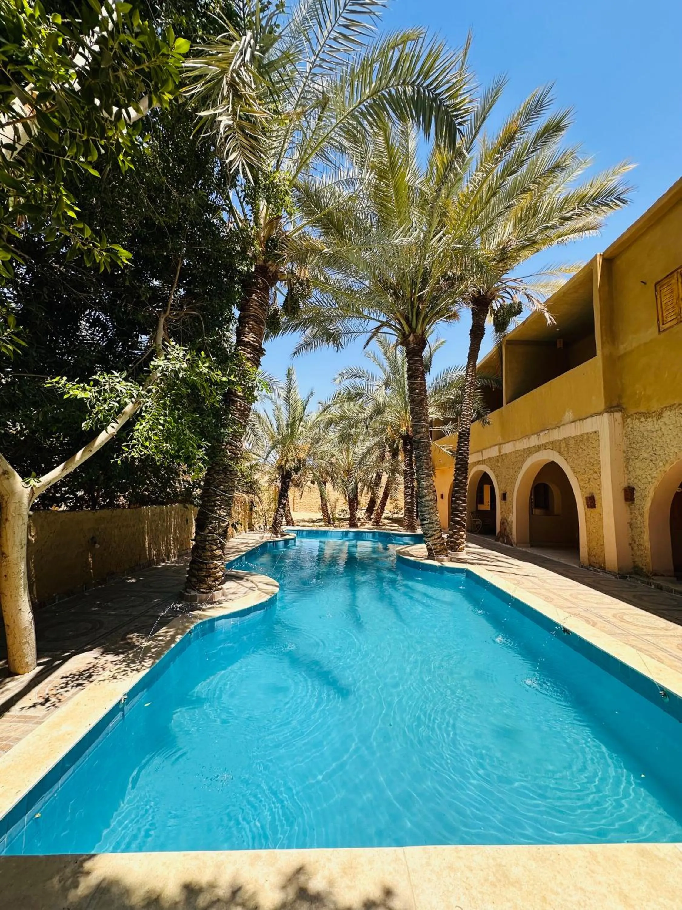 Pool view in Nour El Waha Hotel
