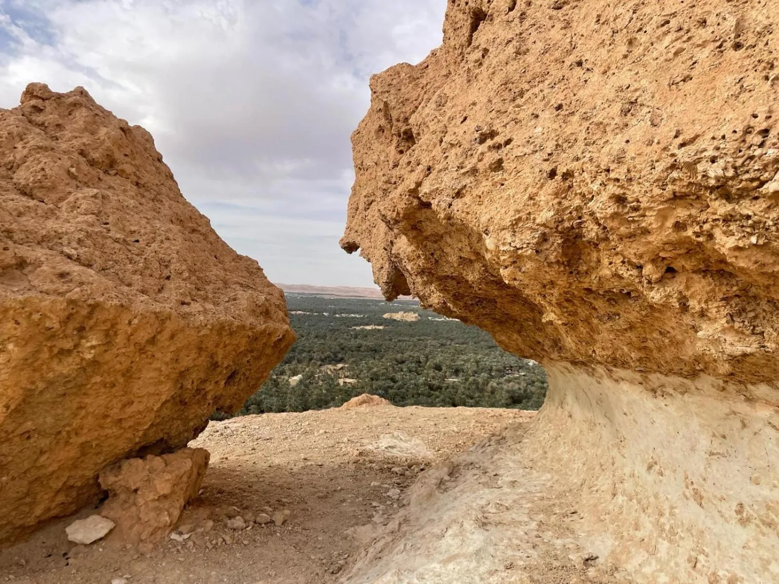 Natural landscape in Nour El Waha Hotel