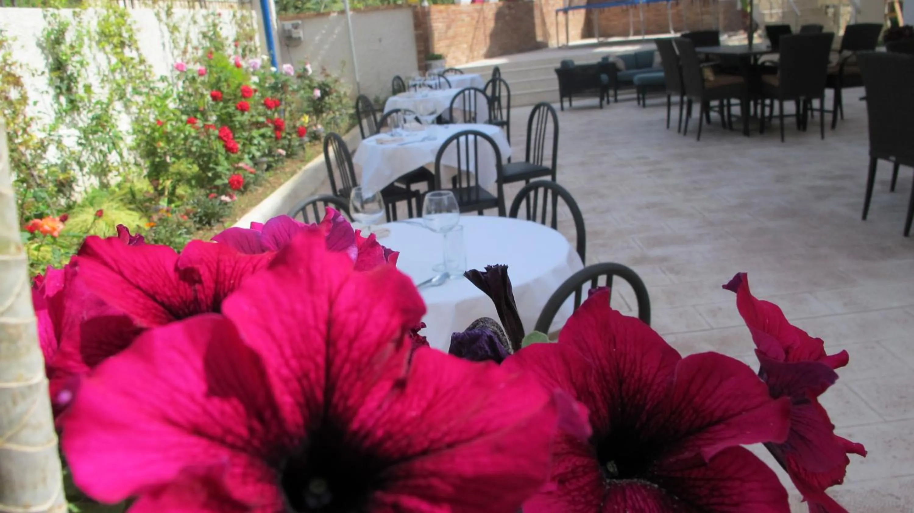 Patio in Hotel Nika