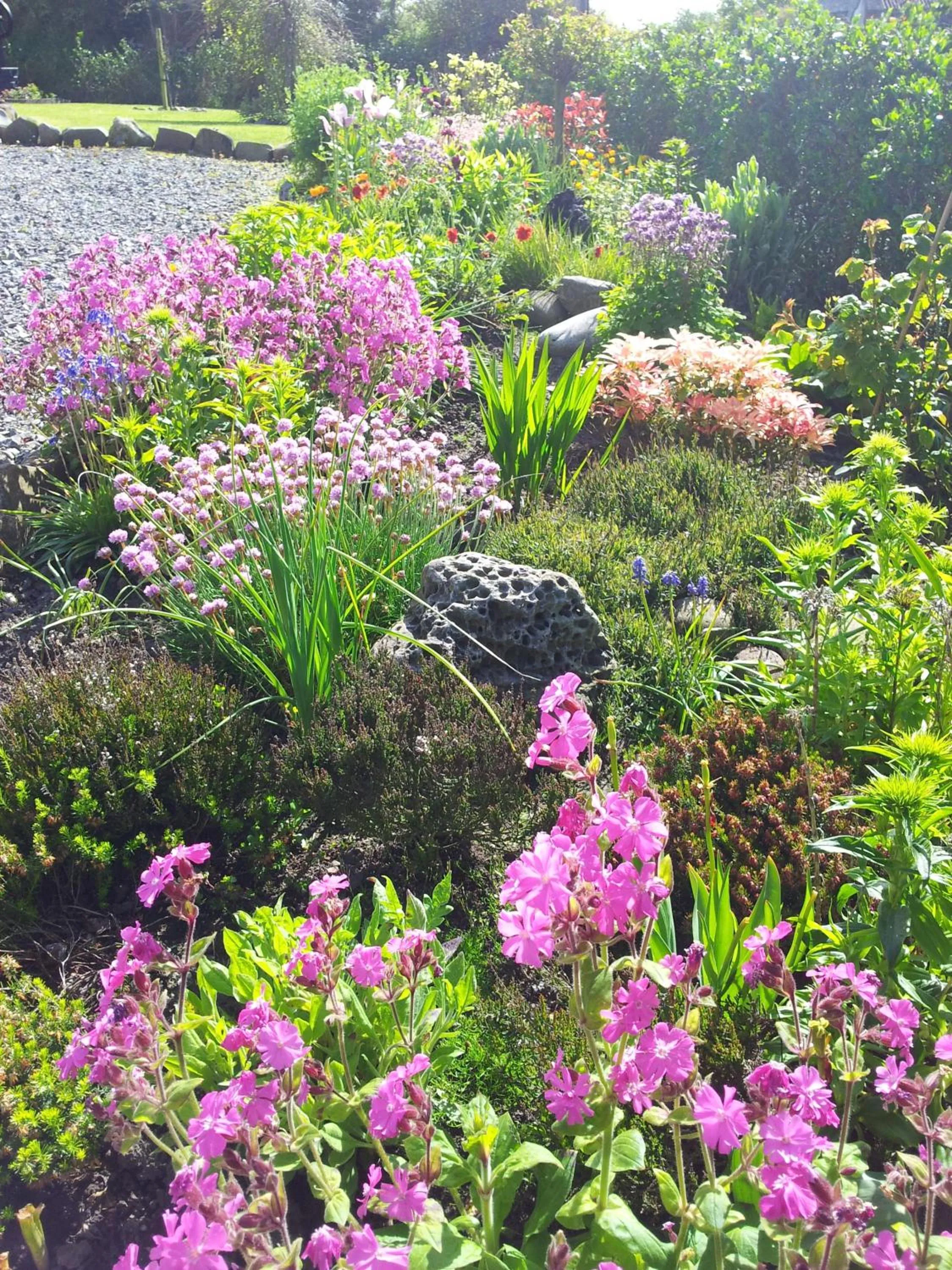 Garden in Ocean Heights B&B