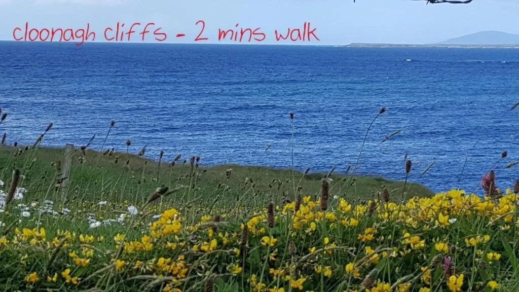 Natural landscape in Ocean Heights B&B