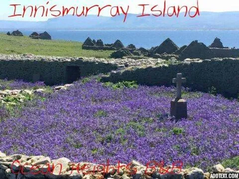 Nearby landmark in Ocean Heights B&B