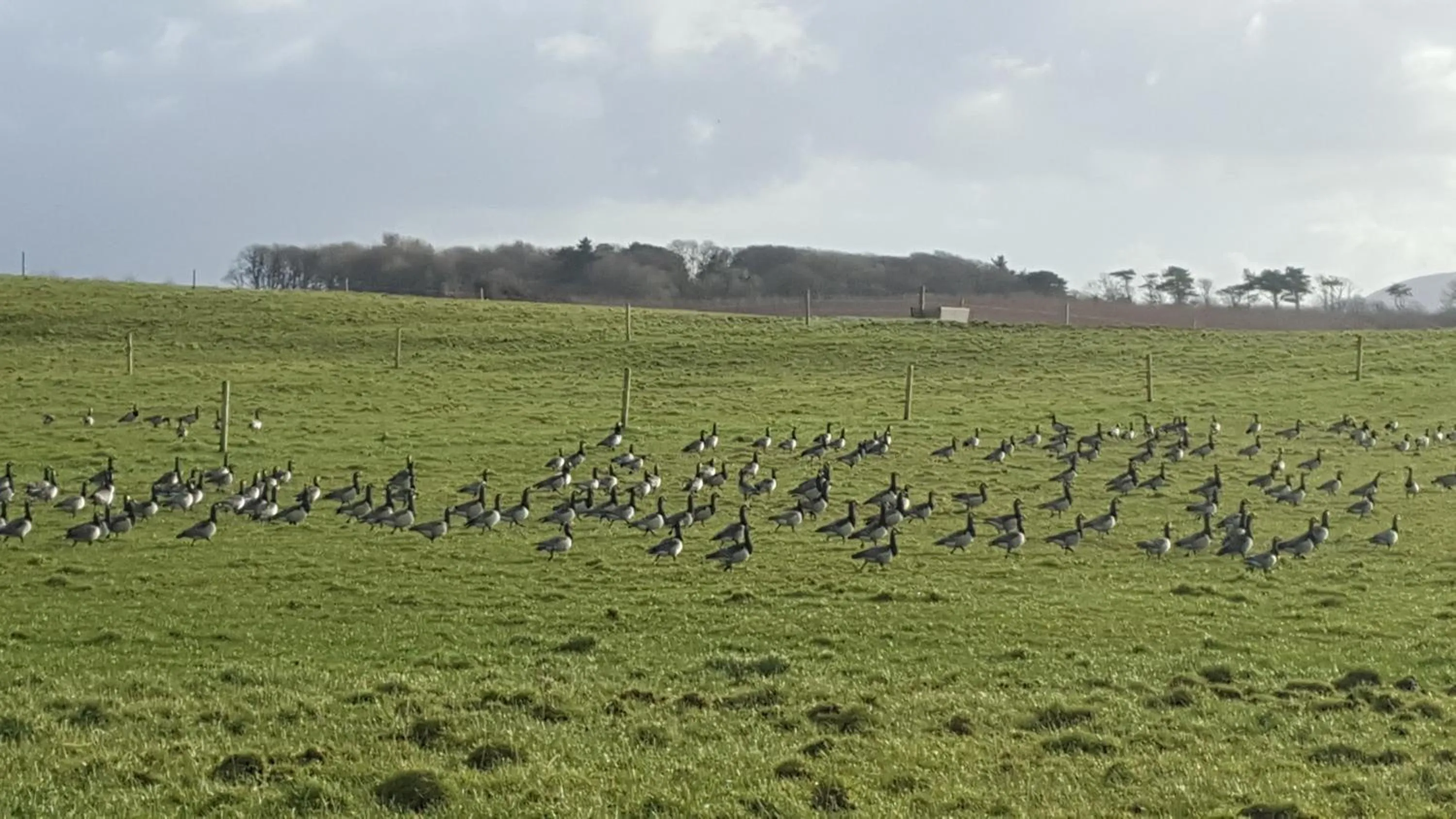 Neighbourhood in Ocean Heights B&B