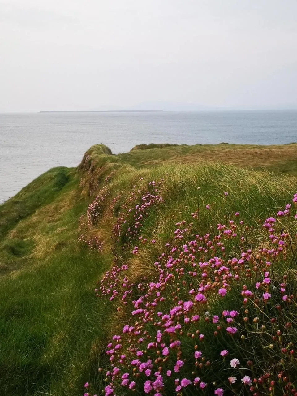 Natural landscape in Ocean Heights B&B