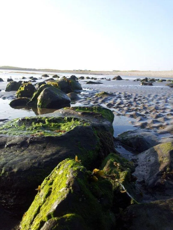 Beach in Ocean Heights B&B