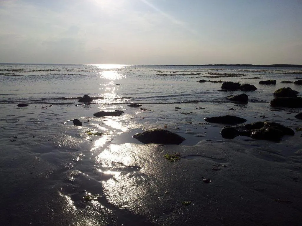 Area and facilities in Ocean Heights B&B