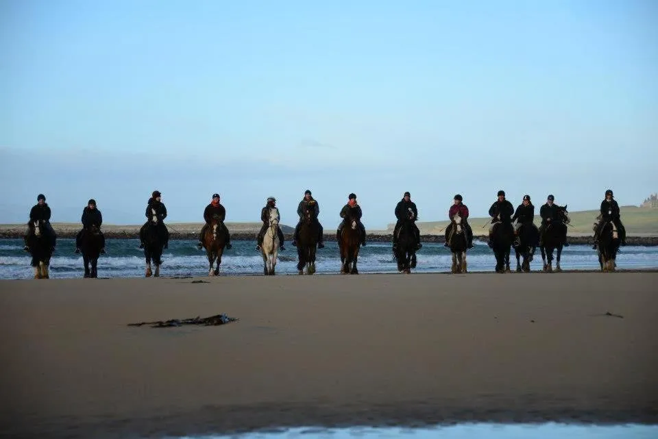 Horse-riding in Ocean Heights B&B