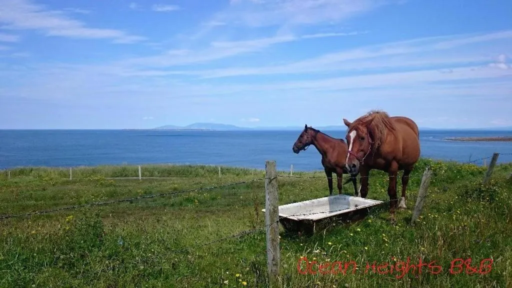 Natural landscape in Ocean Heights B&B