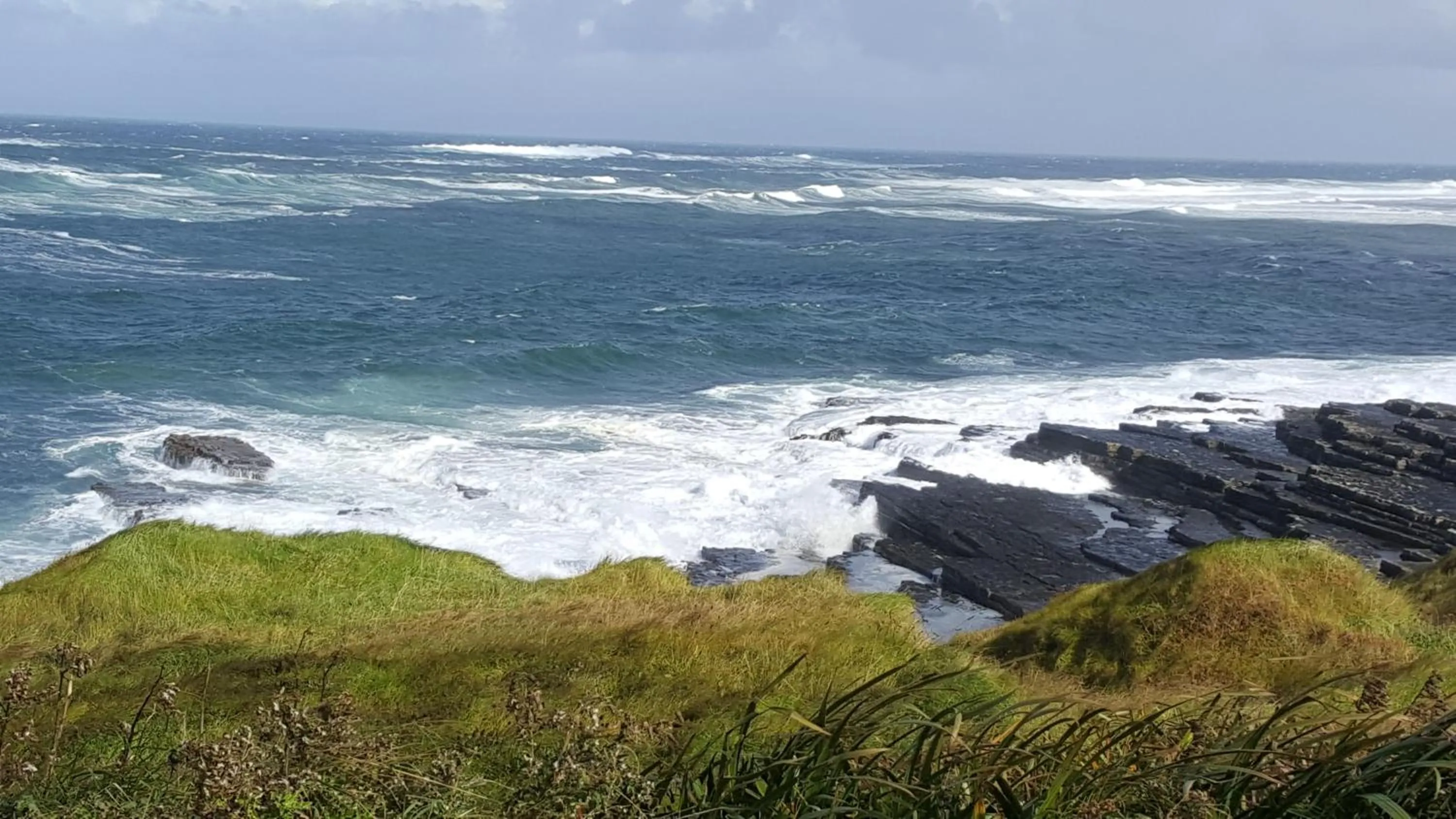 Natural landscape in Ocean Heights B&B