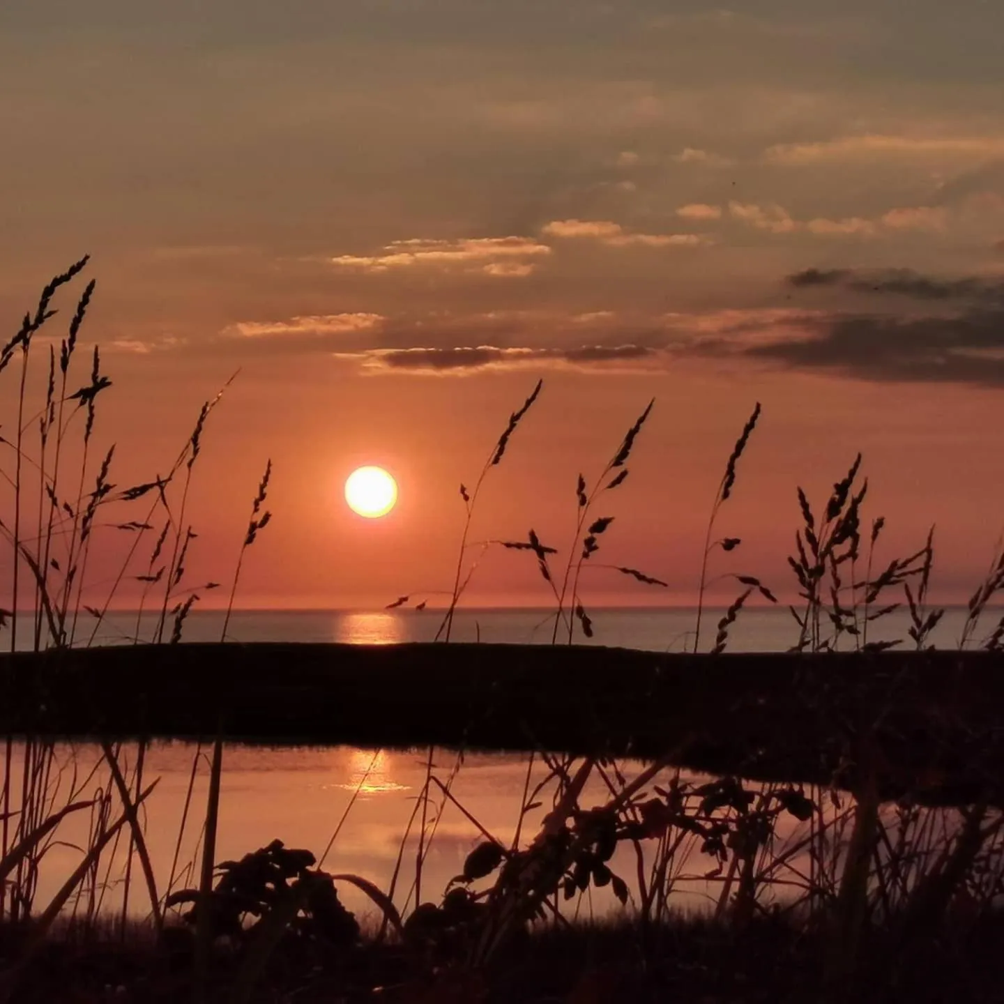 Sea view in Ocean Heights B&B