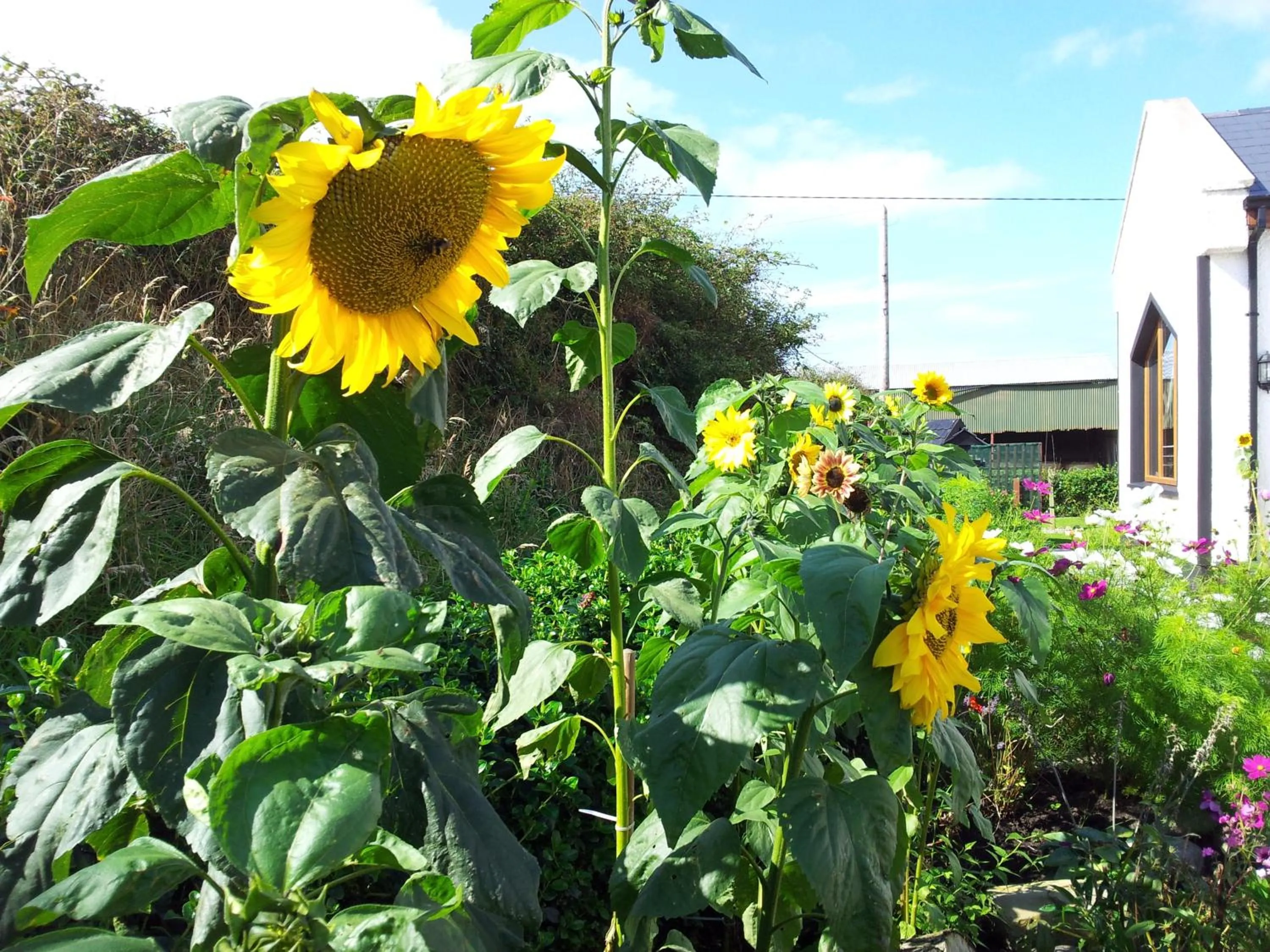 Garden in Ocean Heights B&B