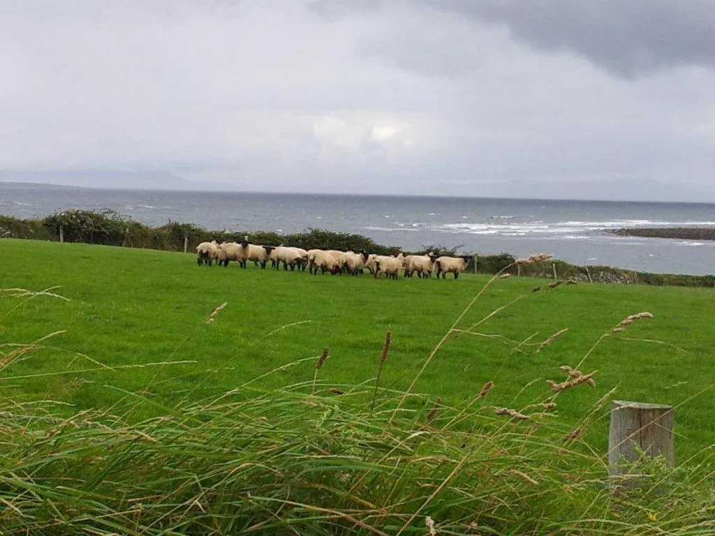 Area and facilities in Ocean Heights B&B