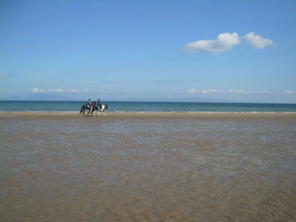 Horse-riding in Ocean Heights B&B