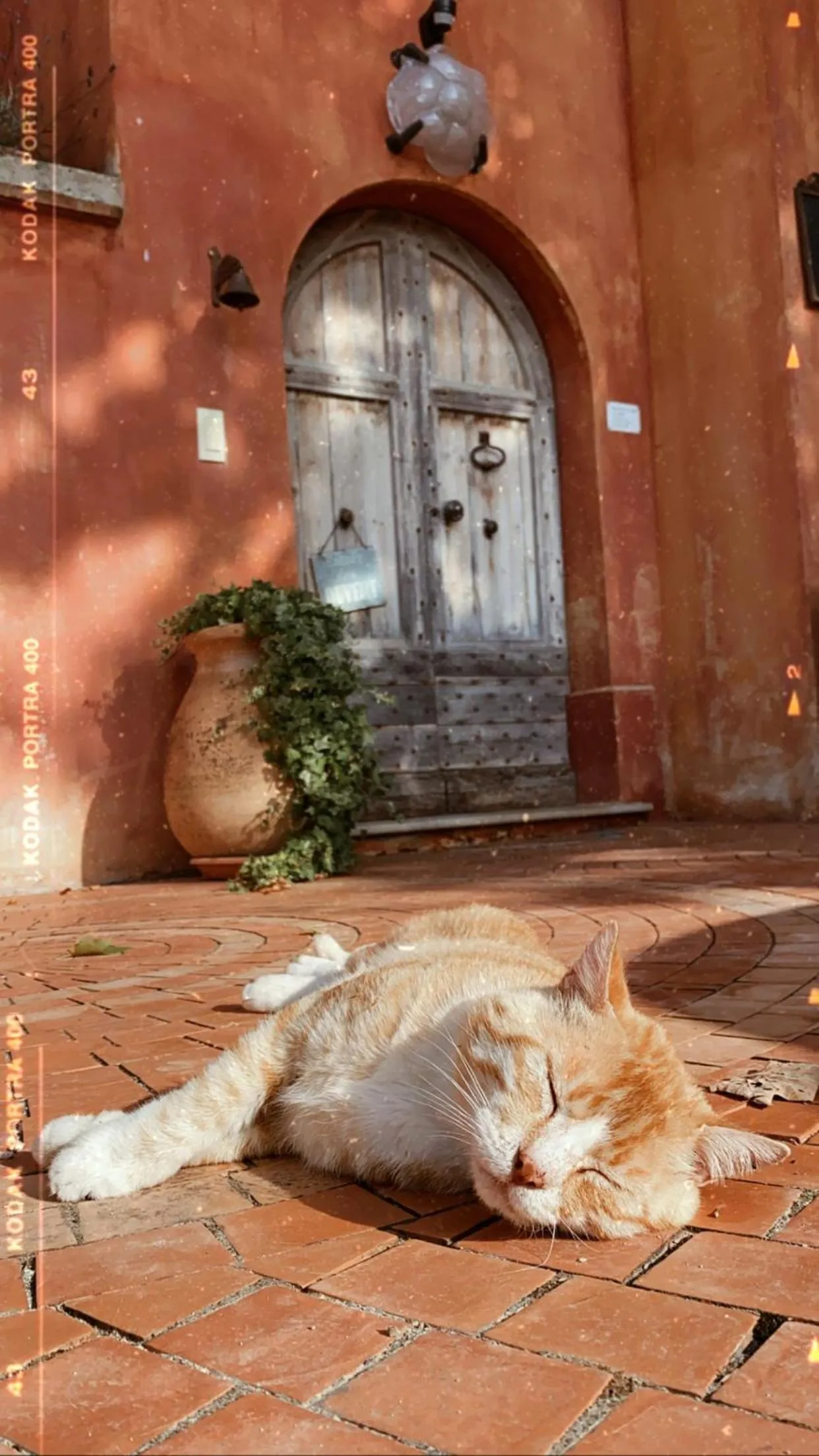Facade/entrance in Domaine De Sainte Annette