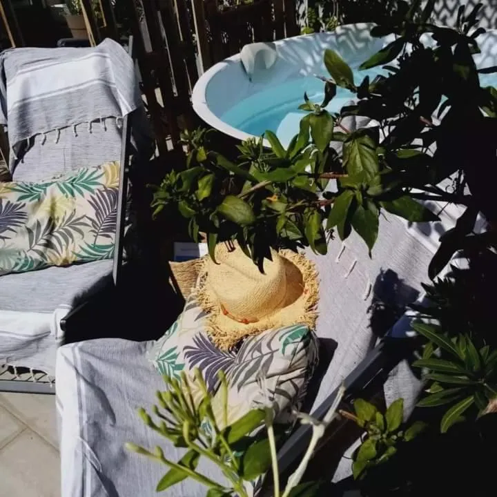 Garden in Le Petit Patio