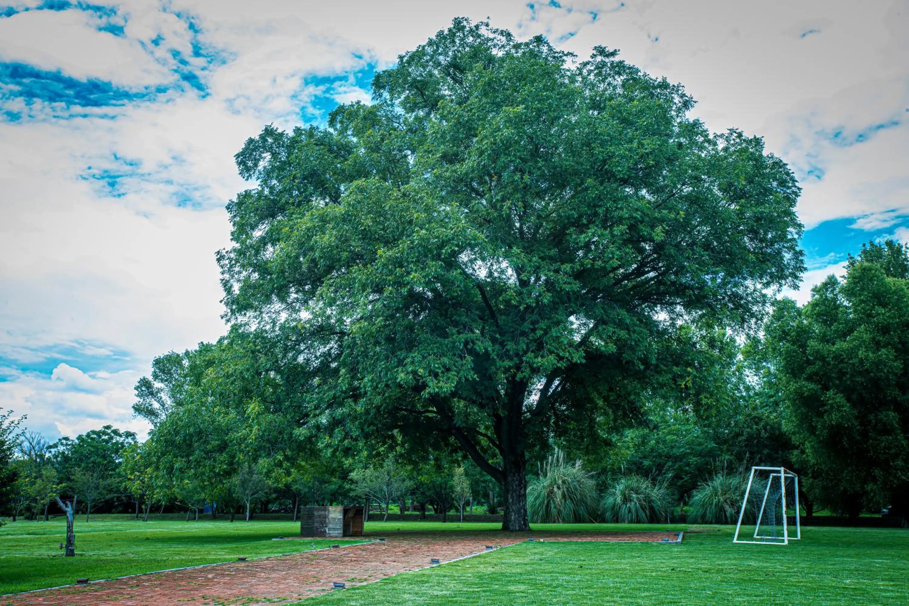 Garden view in Villas Casa de Aves