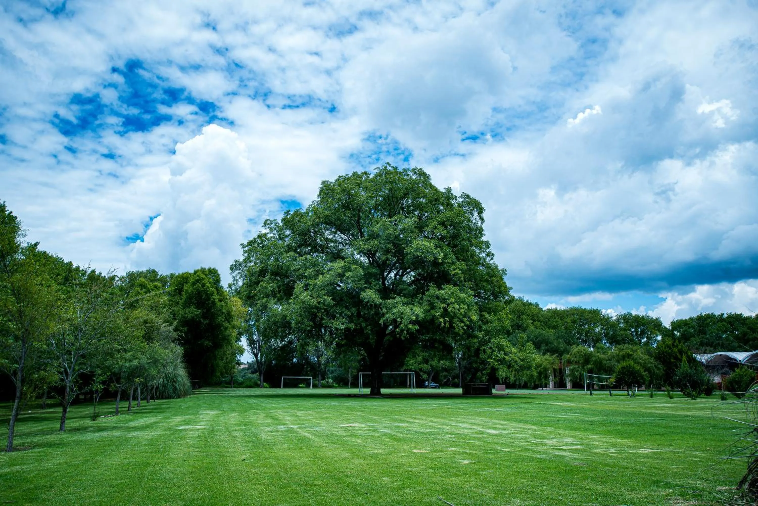 Garden in Villas Casa de Aves