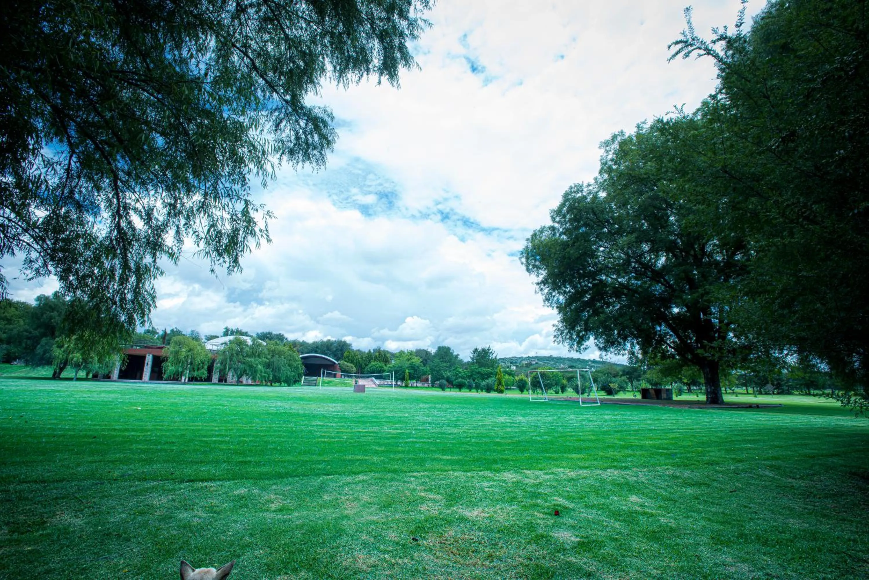 Natural landscape in Villas Casa de Aves