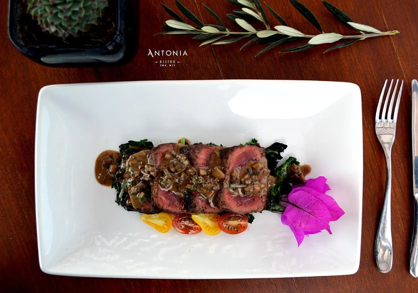 Restaurant/places to eat in Hotel Boutique El Palomar