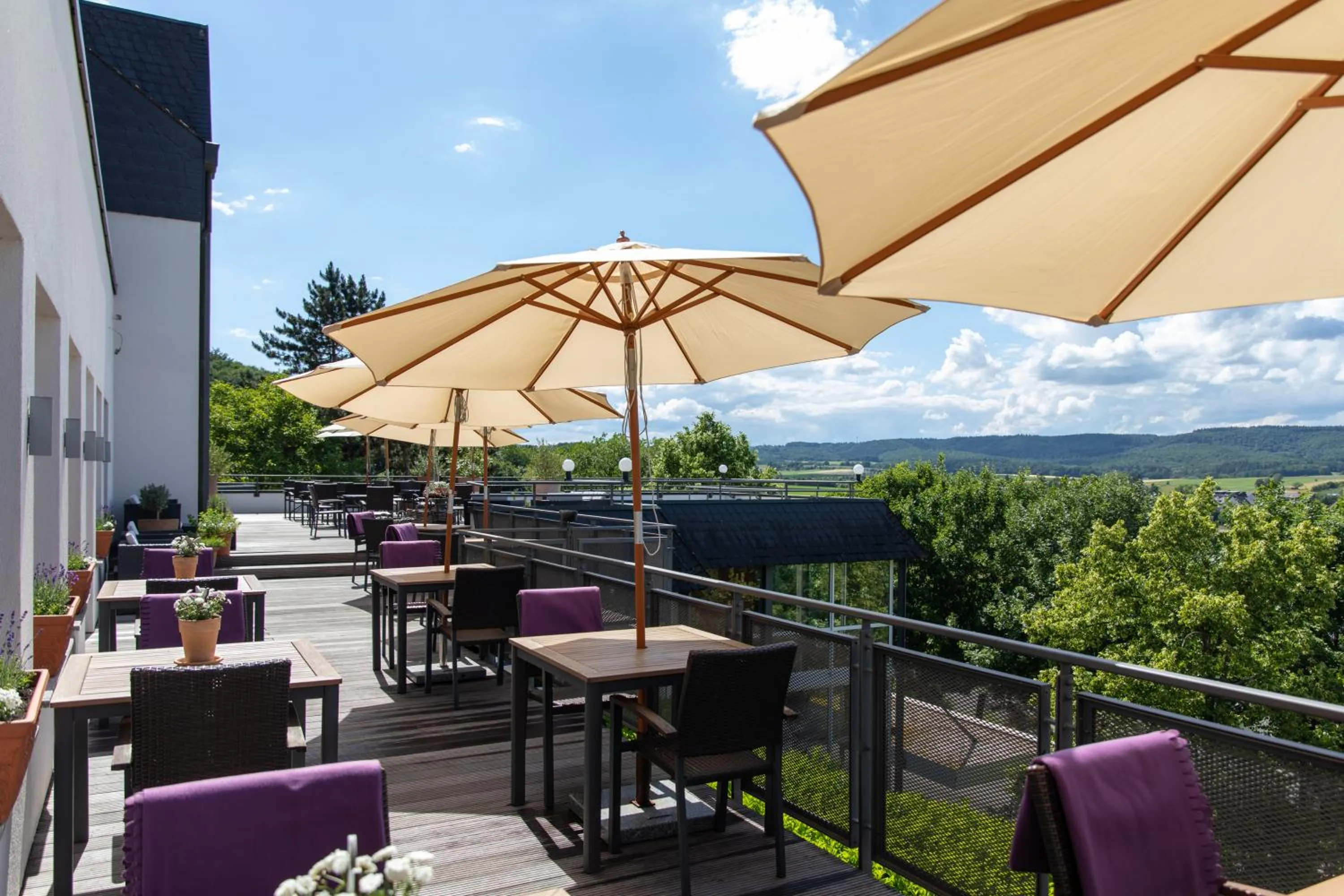 Balcony/Terrace in Hotel Vulcano Lindenhof