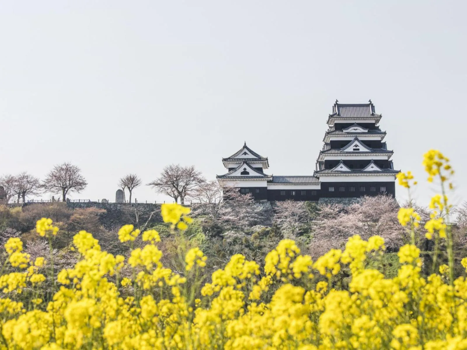 NIPPONIA HOTEL Ozu Castle Town