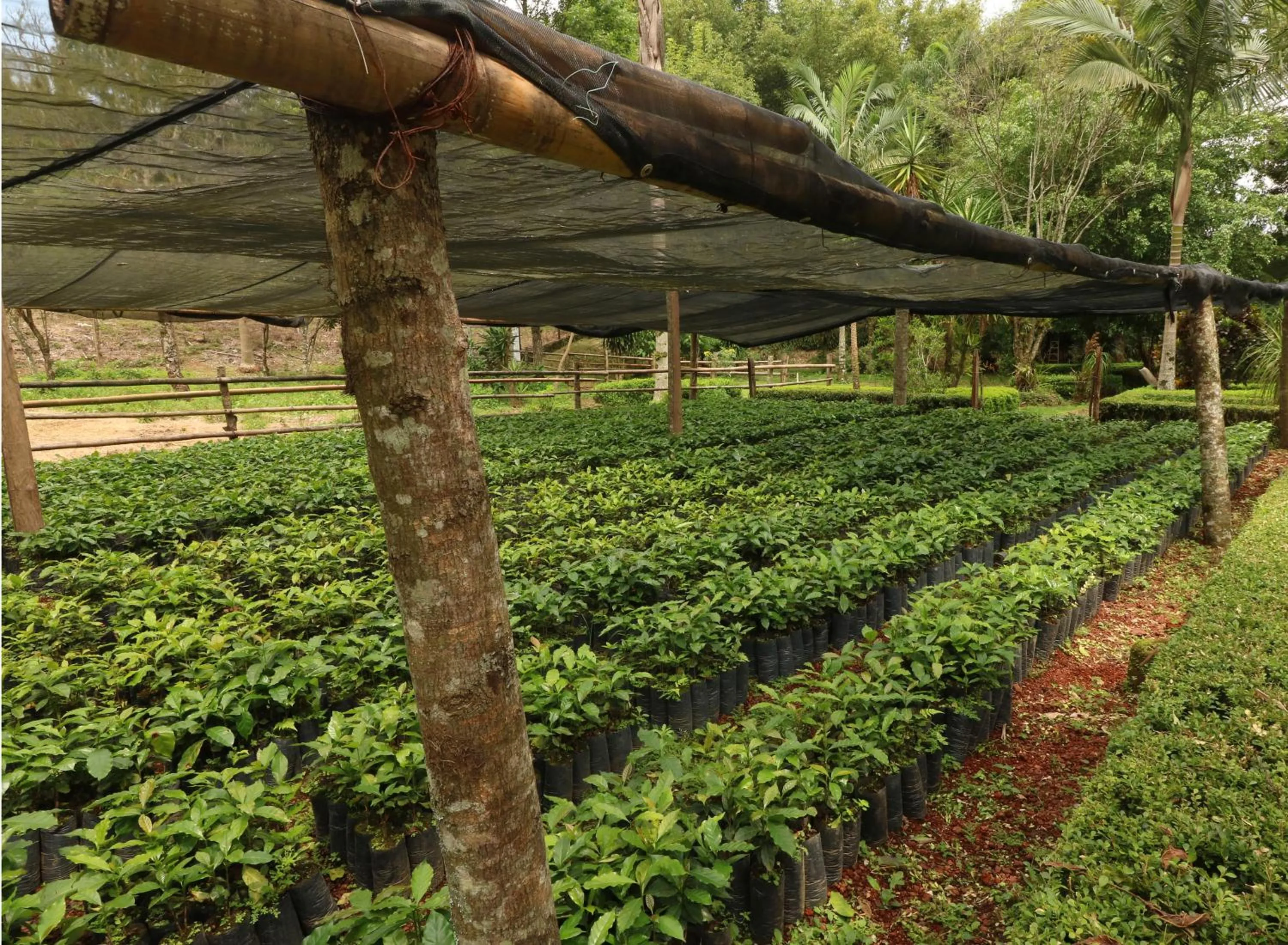 Activities in Mision Los Cocuyos Alta Montana