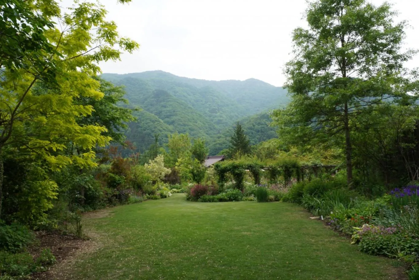 Natural landscape in Pension Asanebou