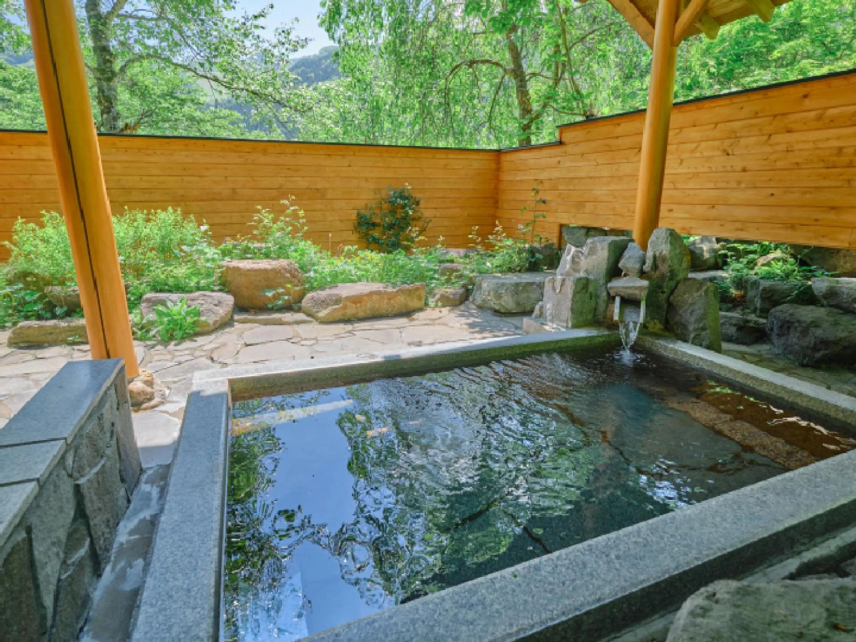 Hot Spring Bath in Pension Asanebou