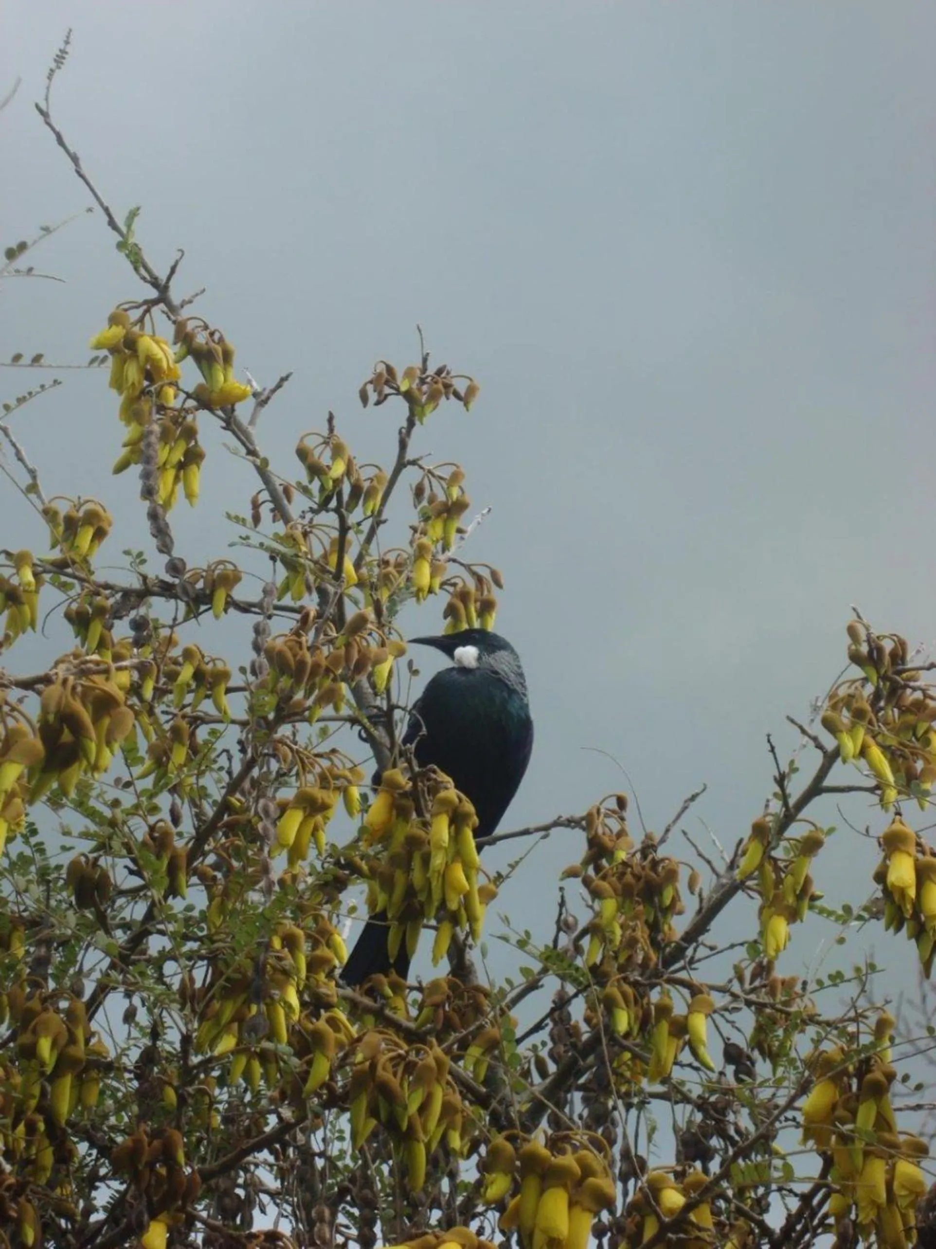 Warkworth Country House