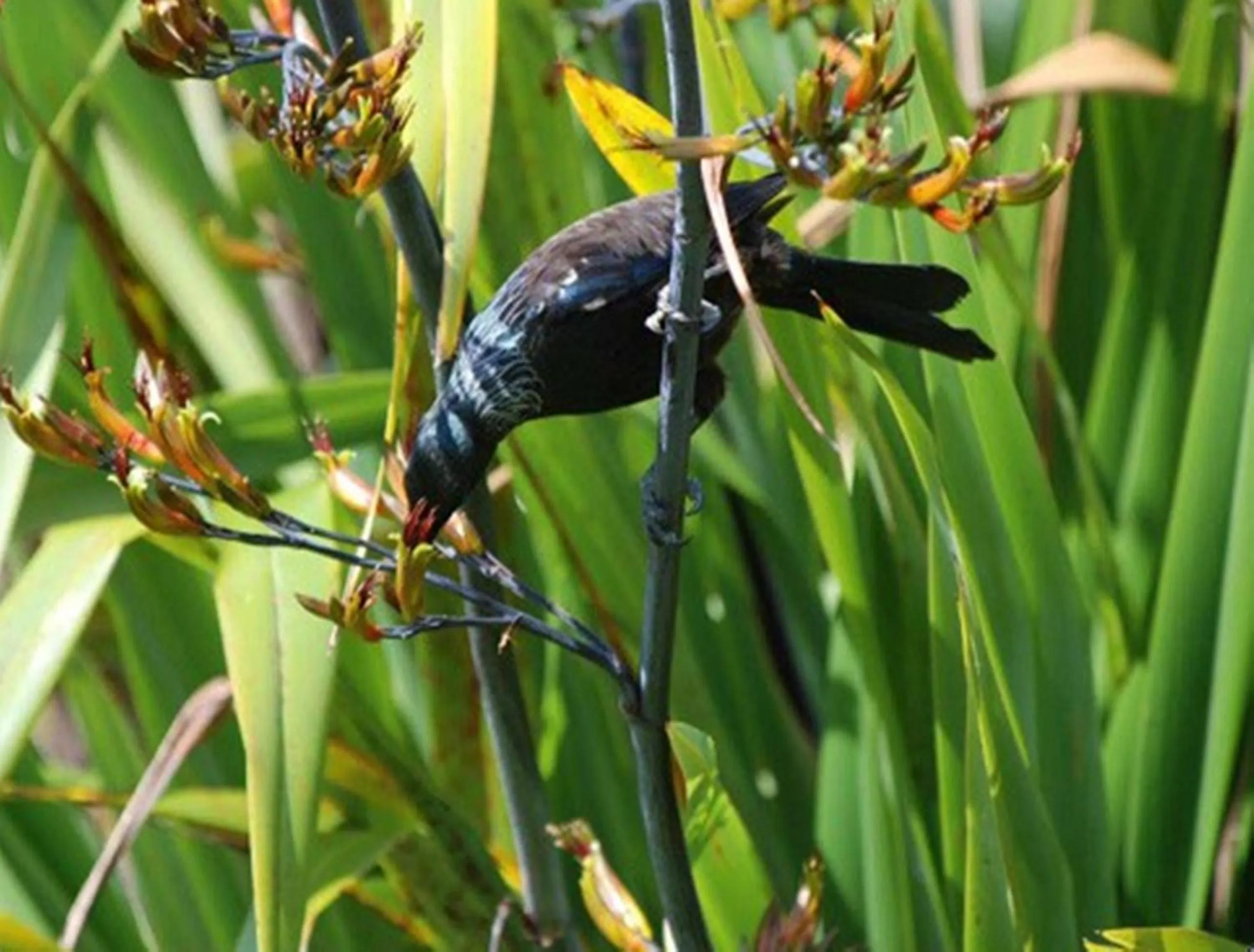 Warkworth Country House