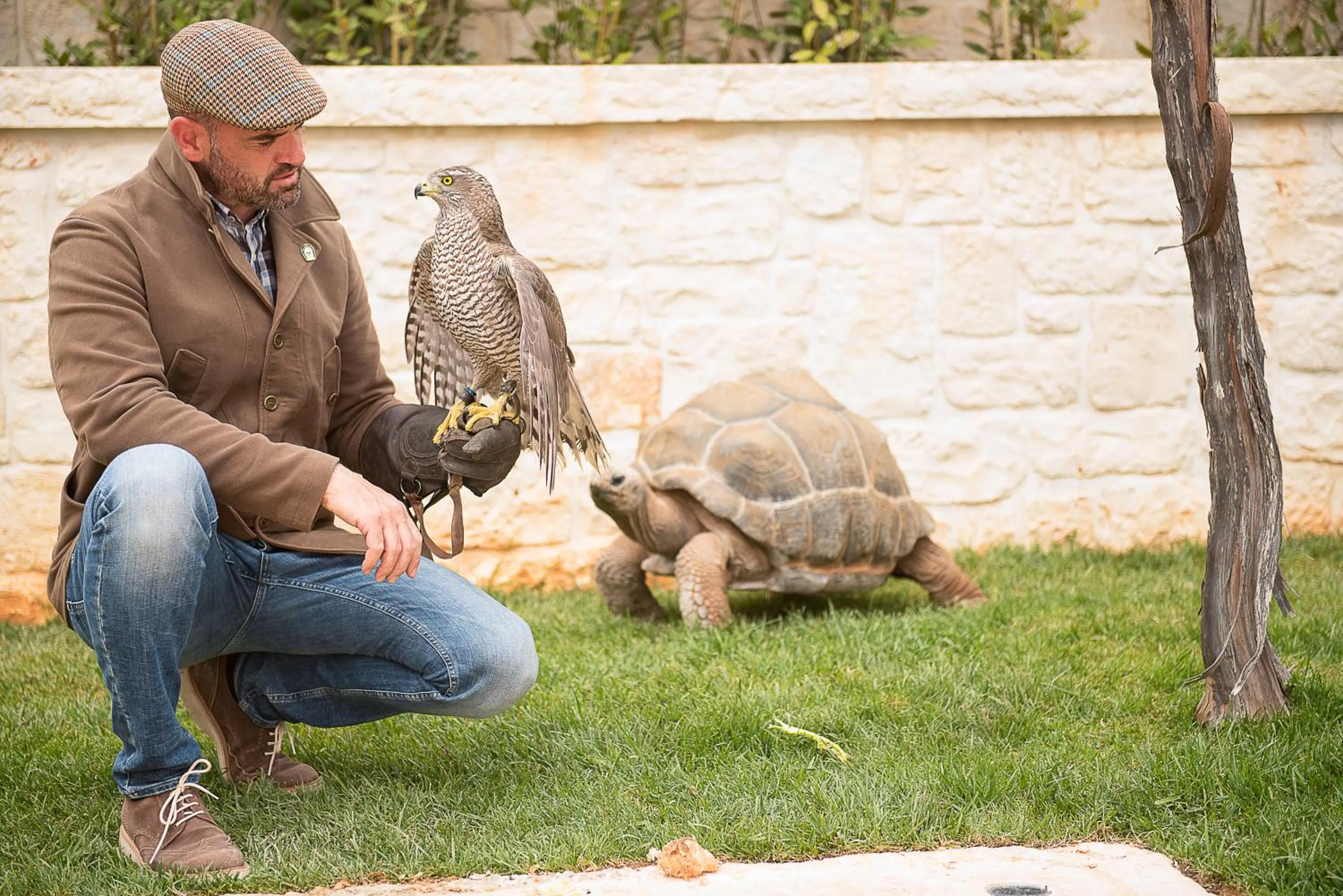Property building, Other Animals in Il Pagano Lussurioso