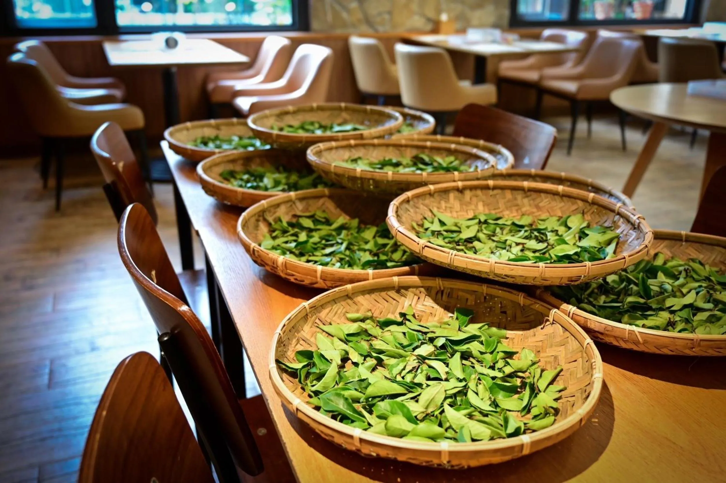 Activities in Ginkgo Hotel