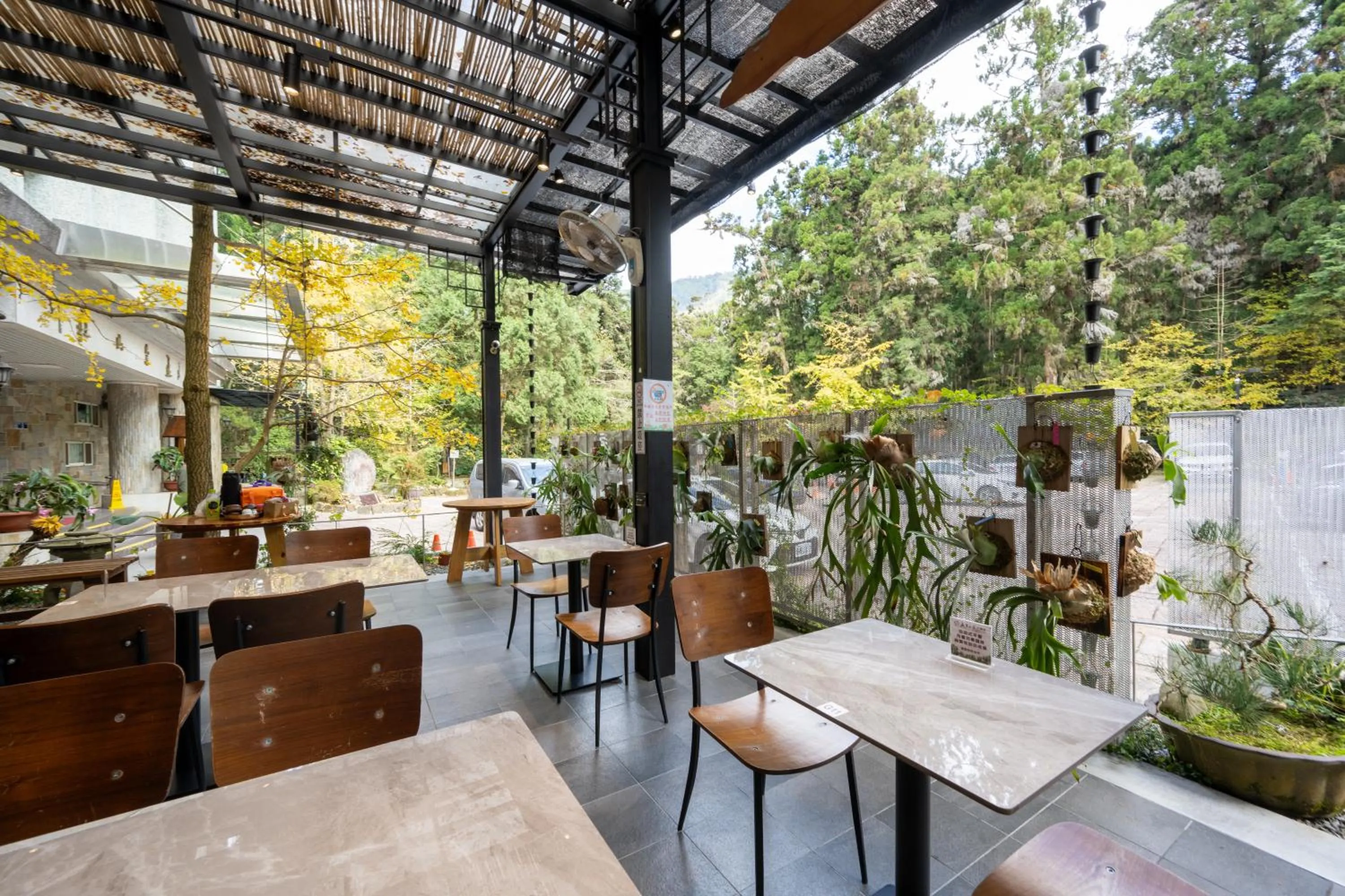 Restaurant/places to eat in Ginkgo Hotel