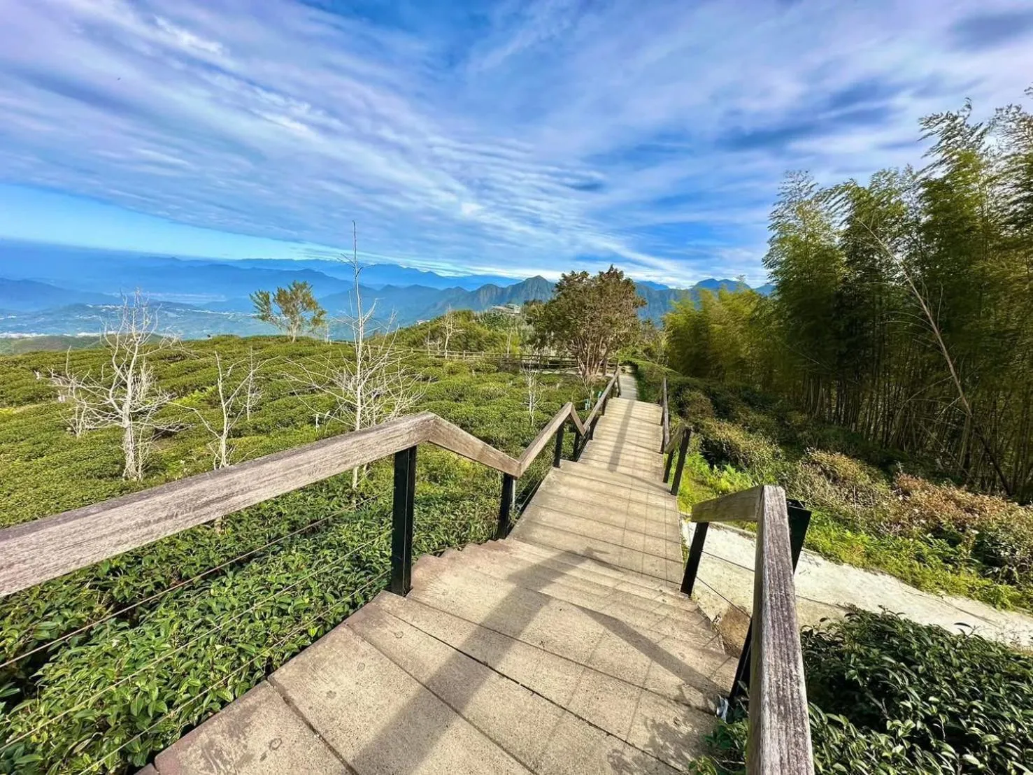 Nearby landmark in Ginkgo Hotel