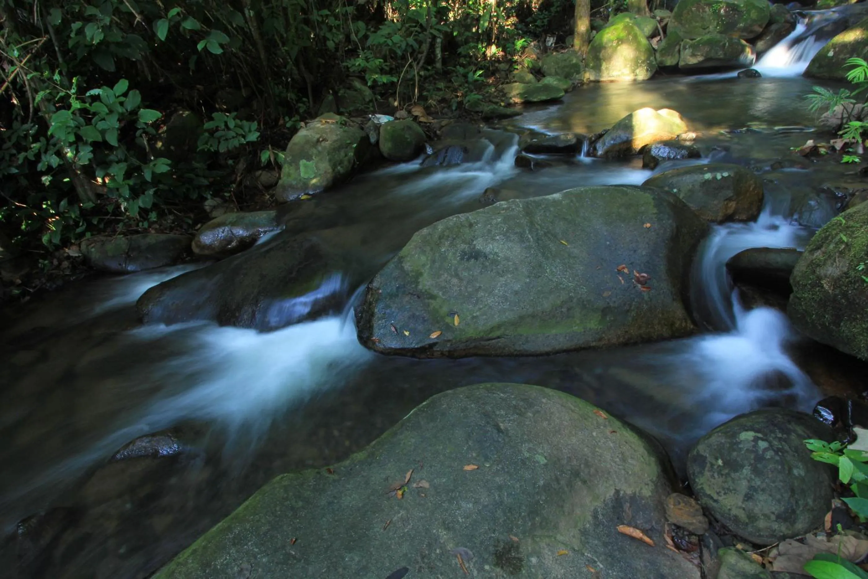 Nearby landmark in The Natural Garden Resort