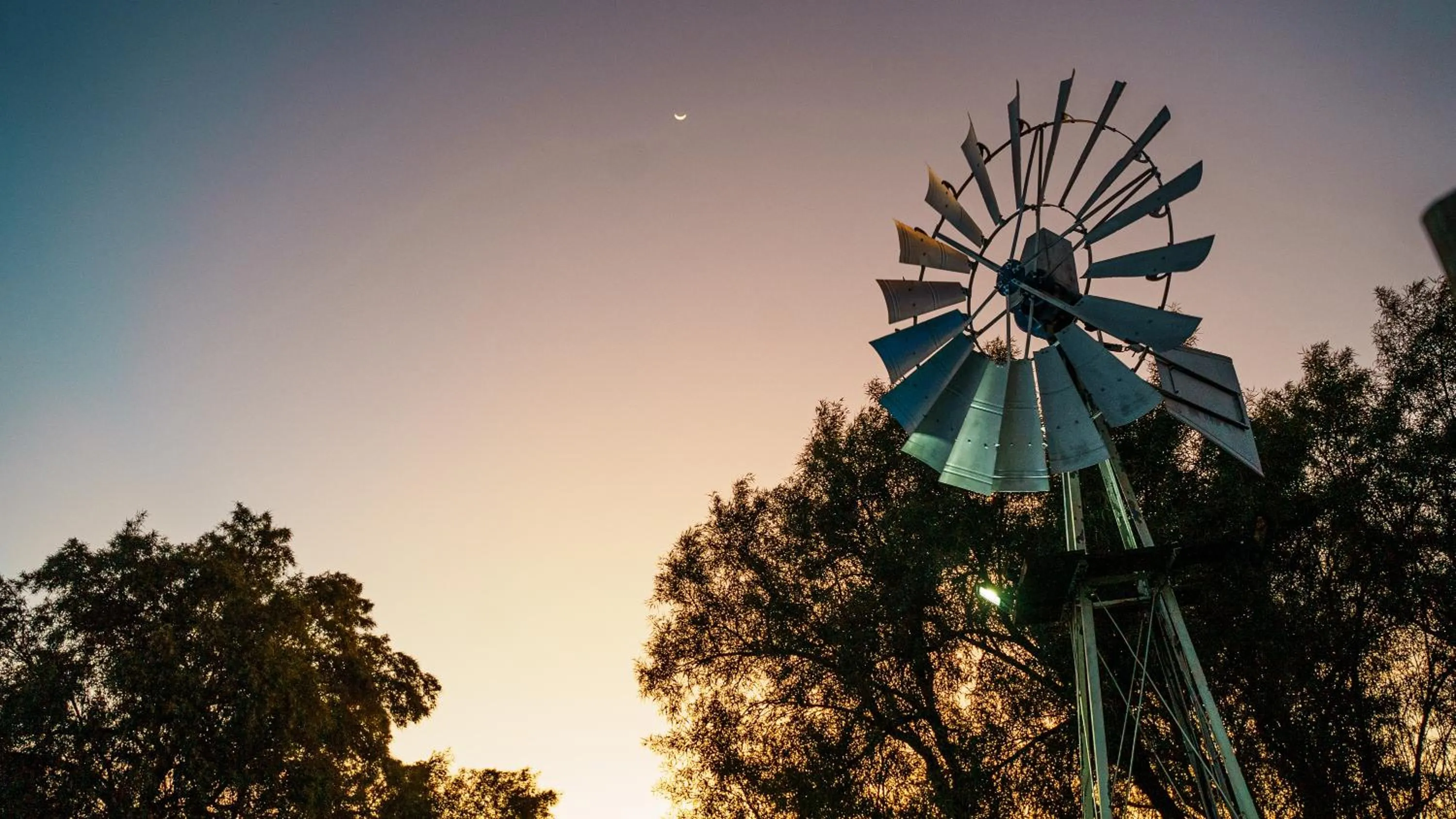 View (from property/room) in Jonkershoek Guest Farm