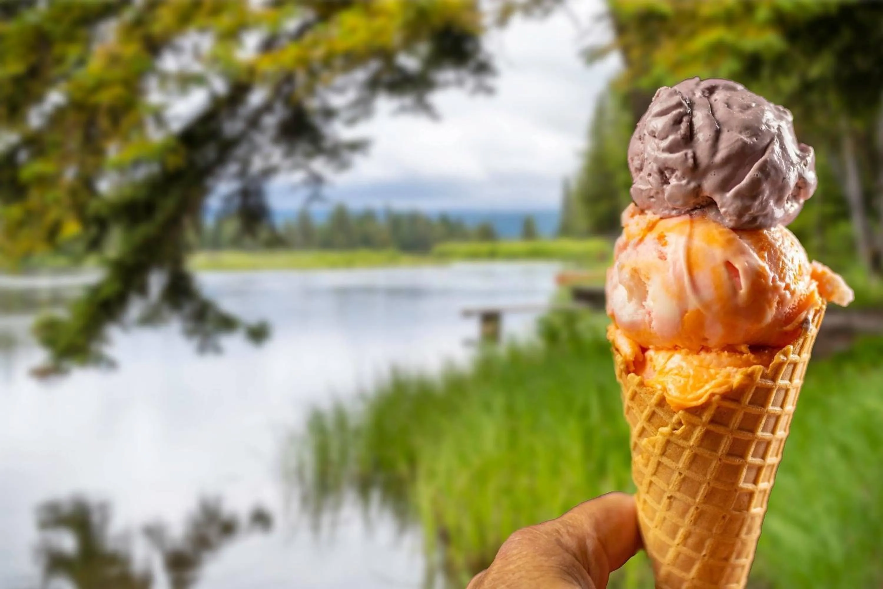 Restaurant/places to eat in SpringHill Suites Island Park Yellowstone