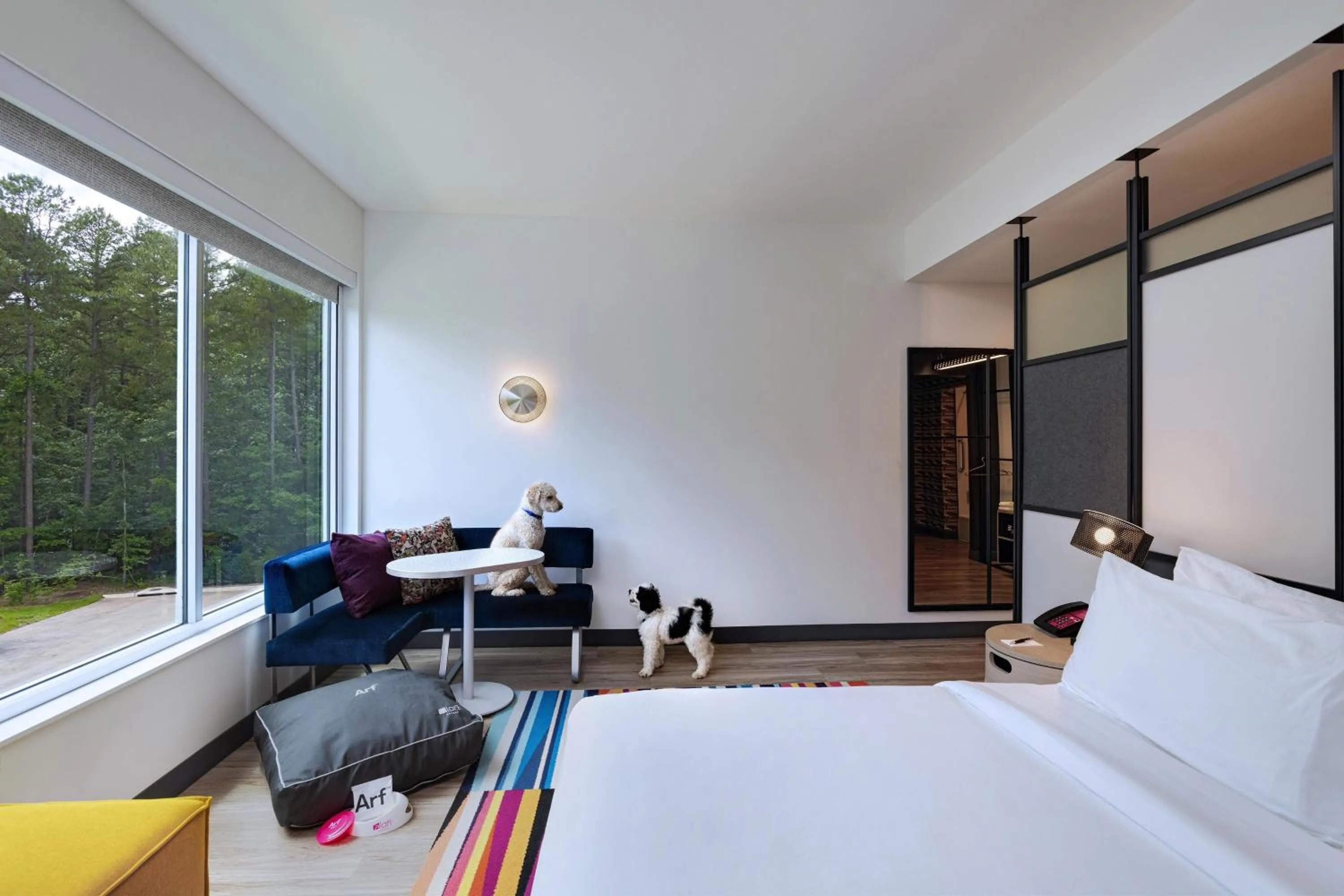 Photo of the whole room, Bed in Aloft Little Rock West