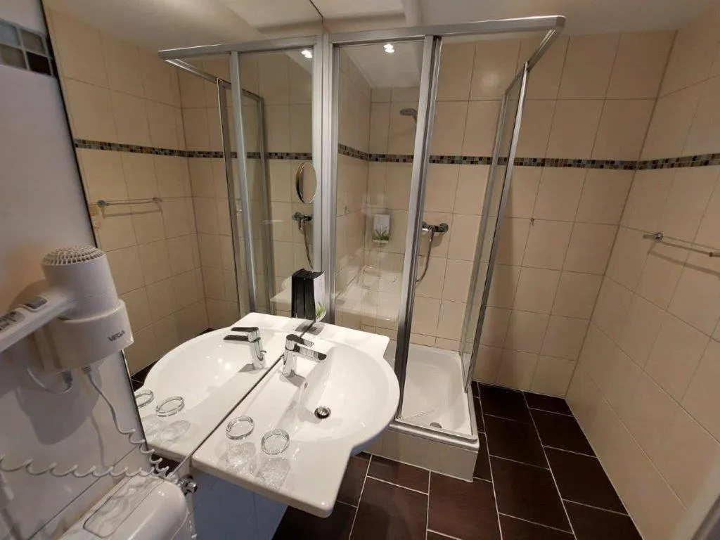 Shower in PANORAMA HOTEL in Neustadt an der Weinstraße