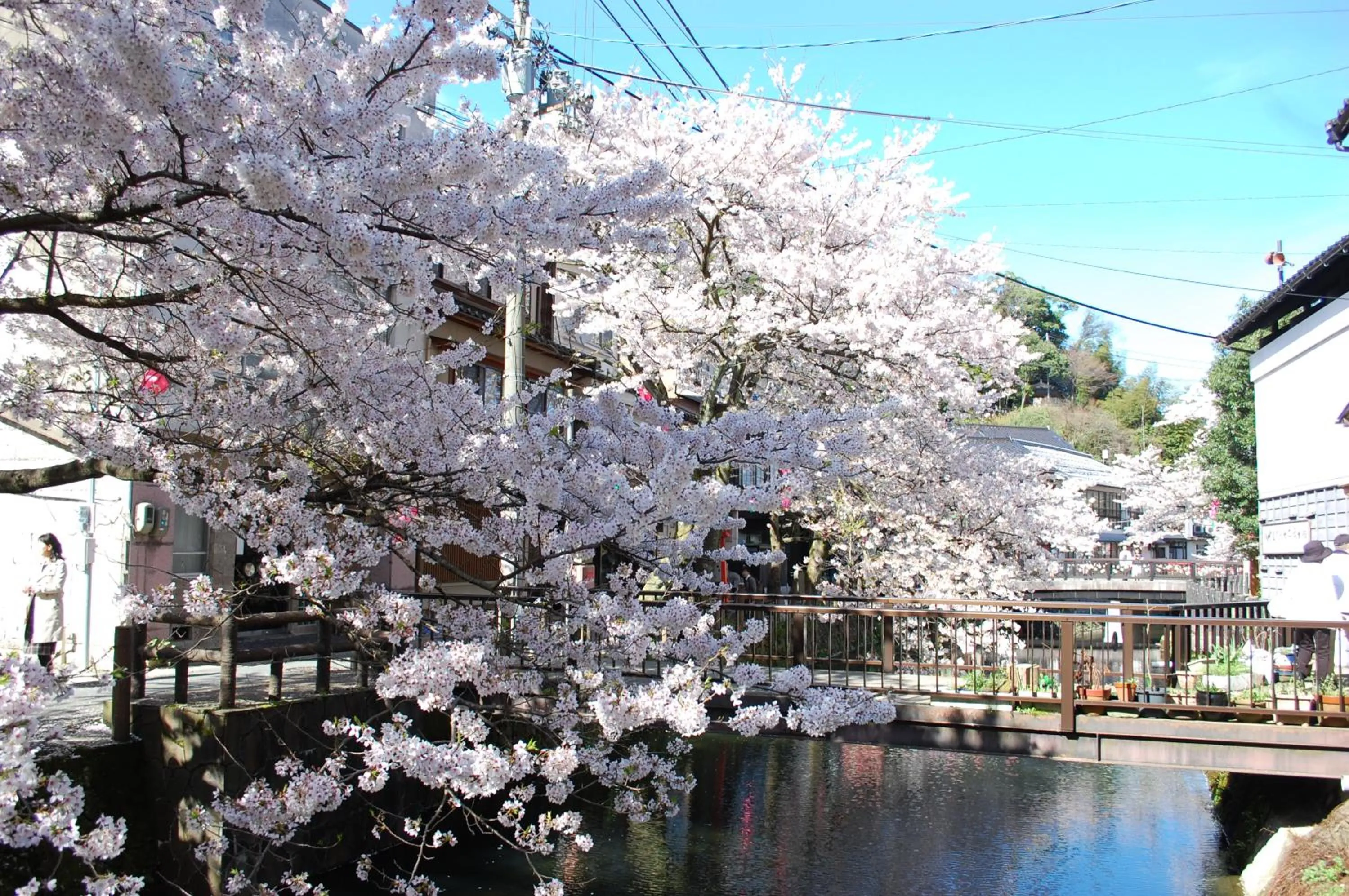 Activities in Kinosaki Tenboen