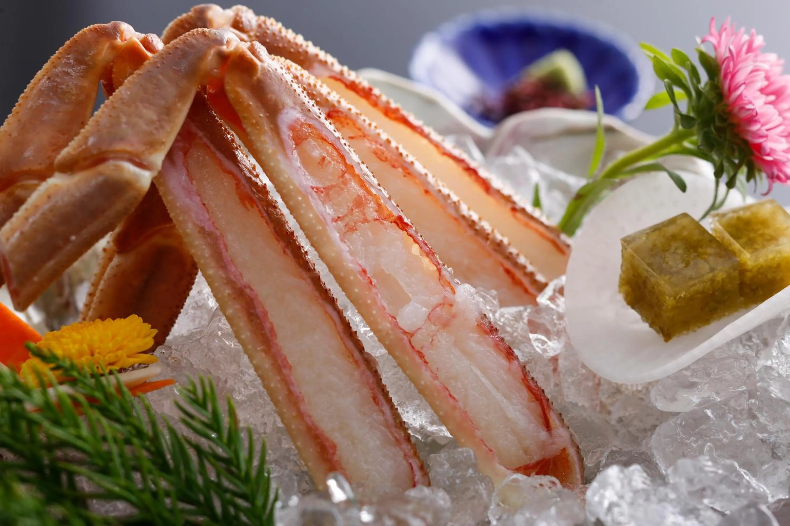 Food close-up in Kinosaki Tenboen