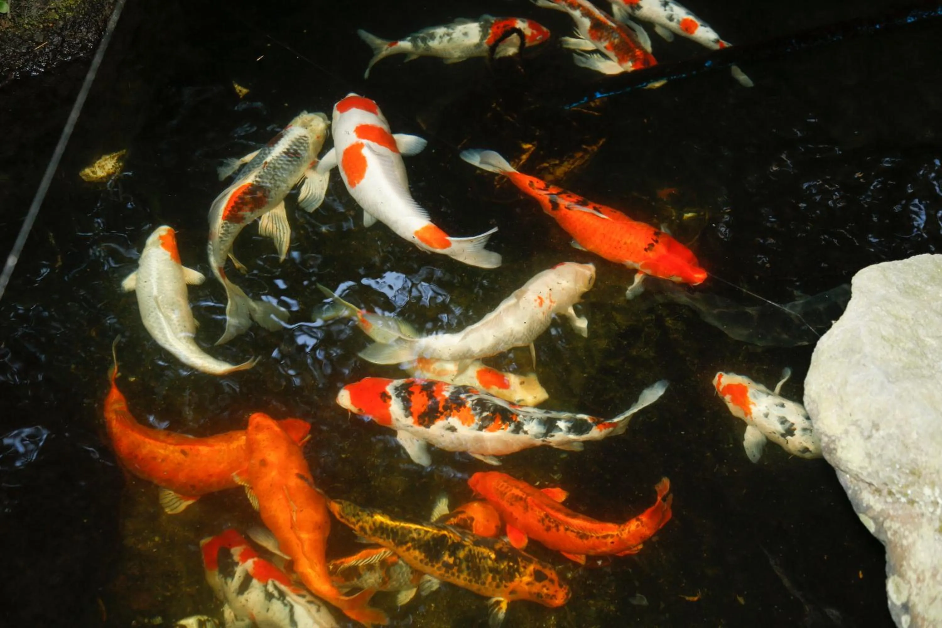 Property building in Kinosaki Tenboen