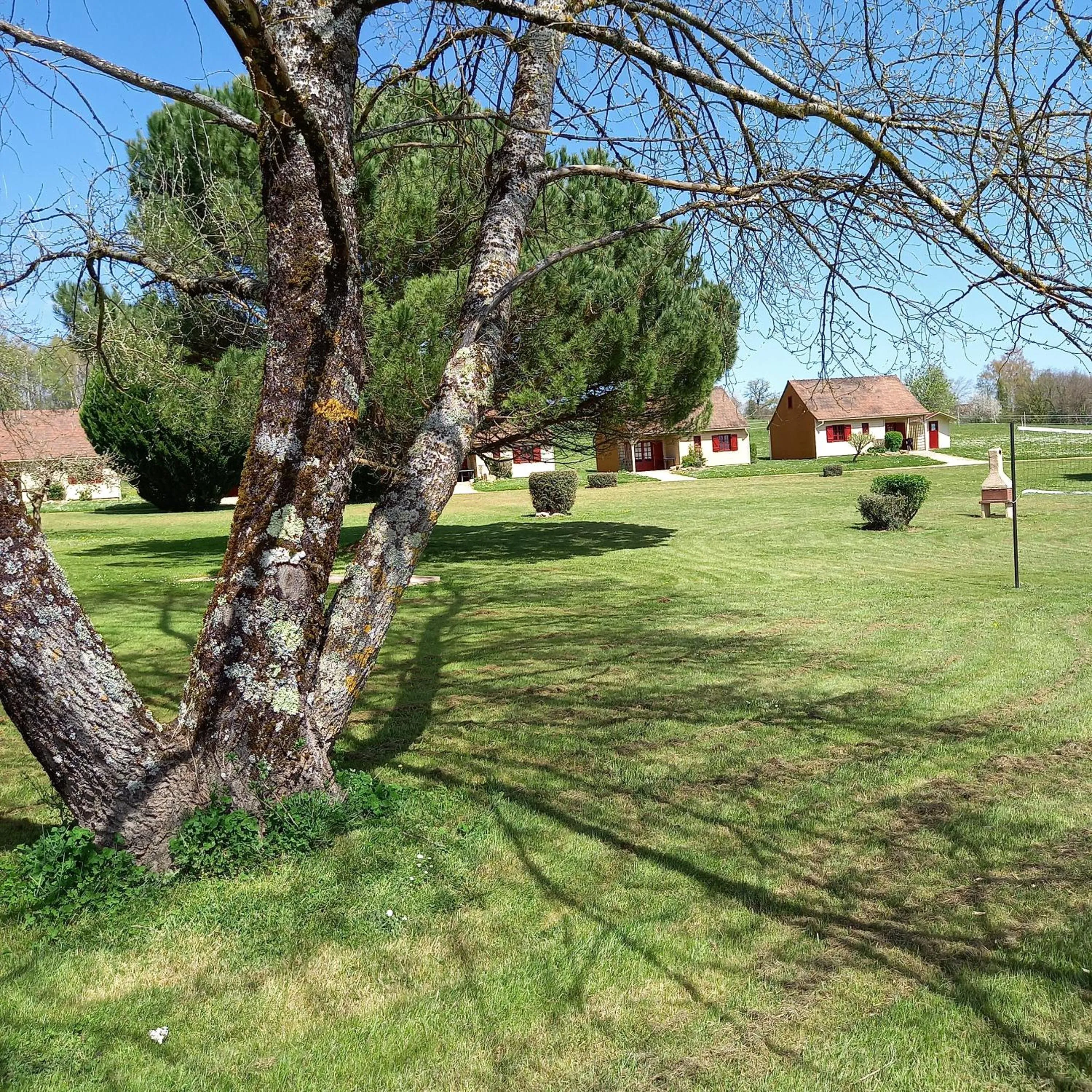 Garden in Domaine de Vaulatour.