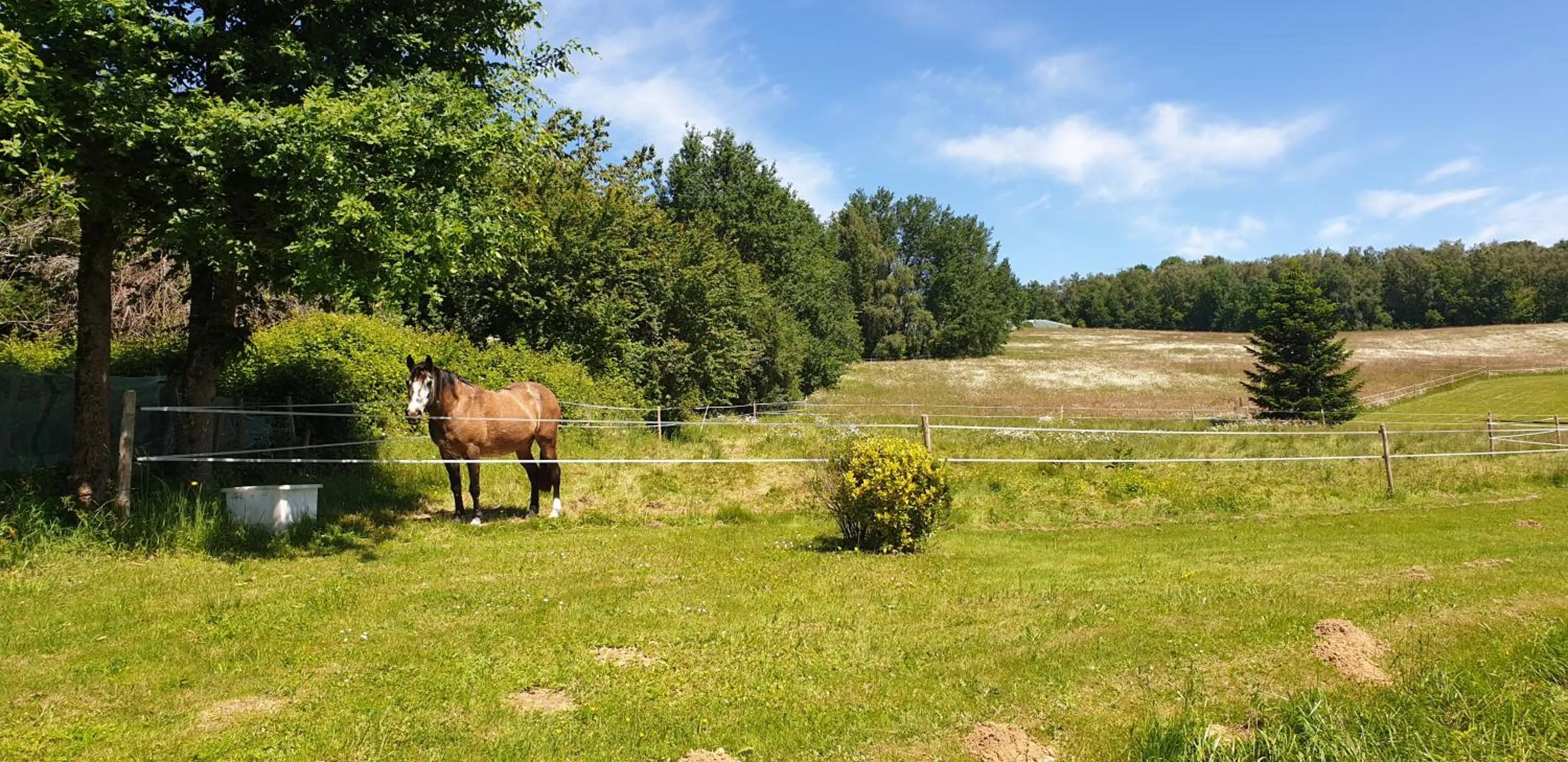 Natural landscape in Domaine de Vaulatour.