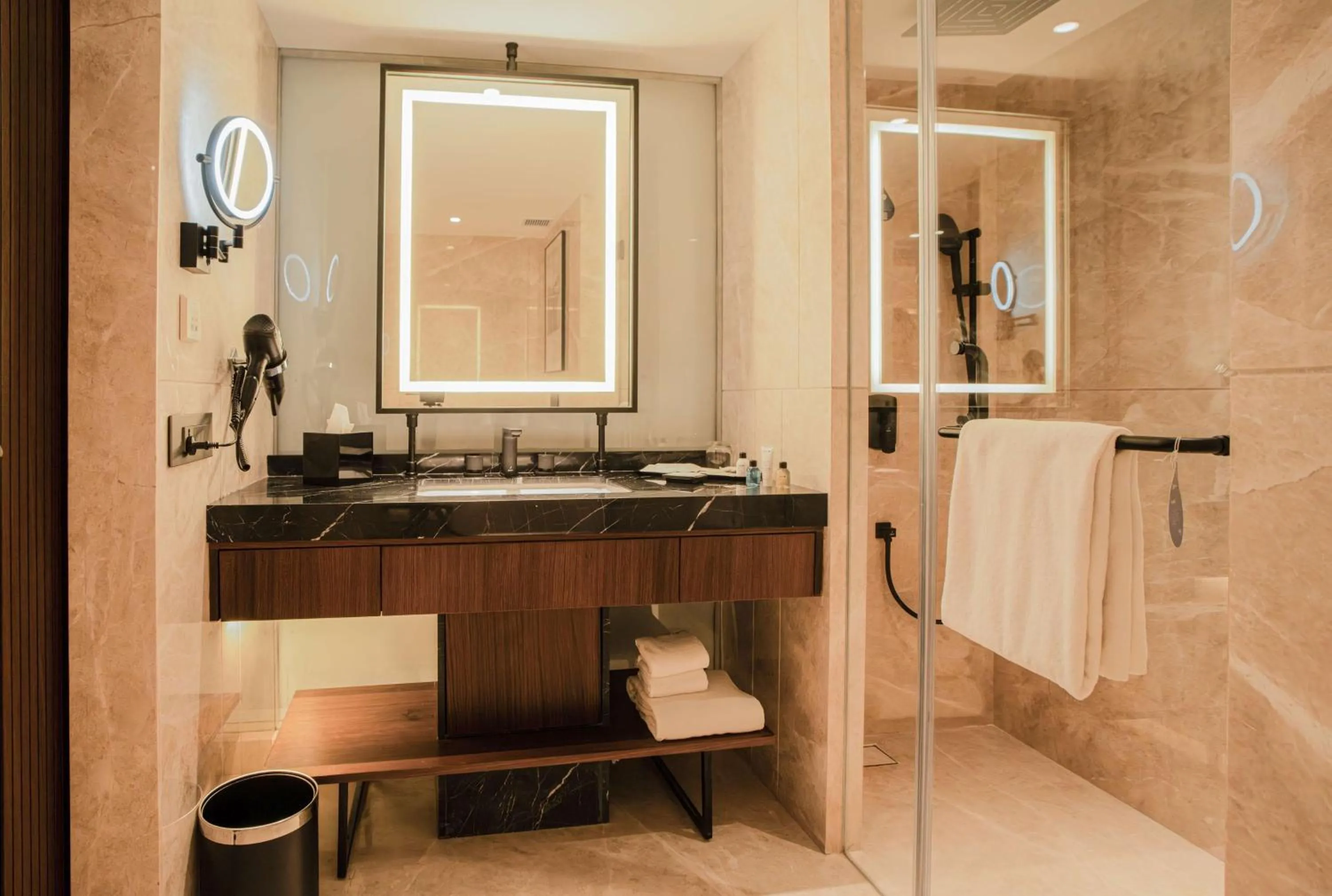 Bathroom in Radisson Blu Hotel Ahmedabad