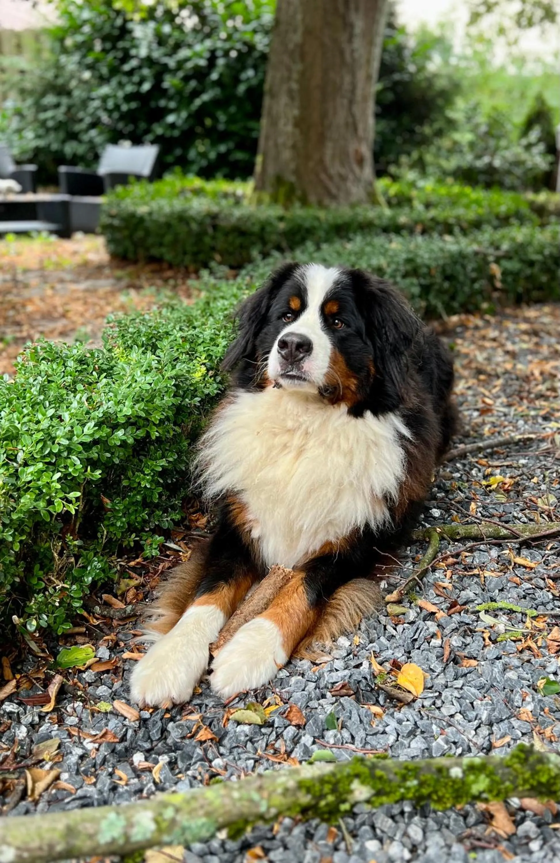 Property building in Gasthof Wäscherschloss