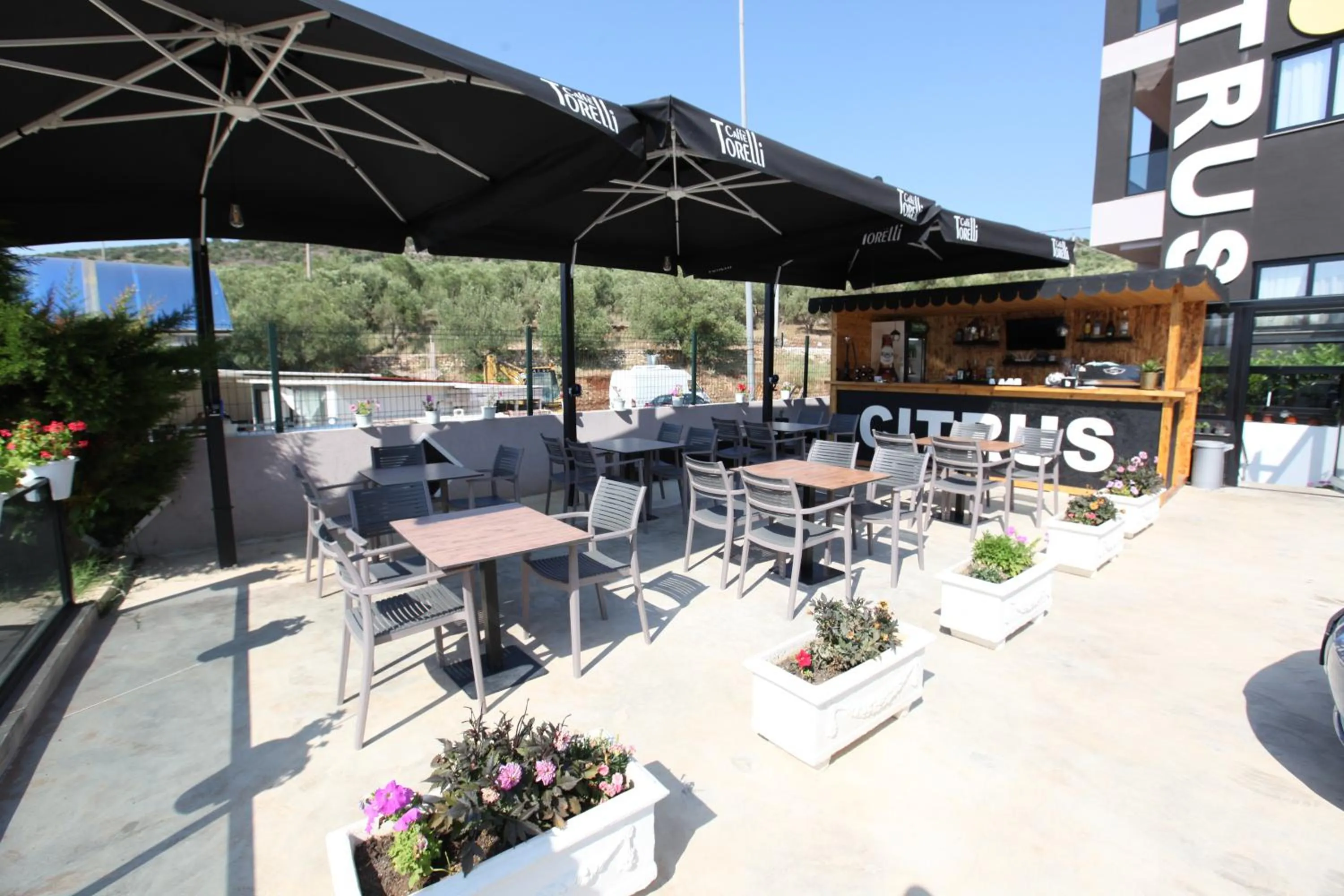 Property building in Hotel Citrus