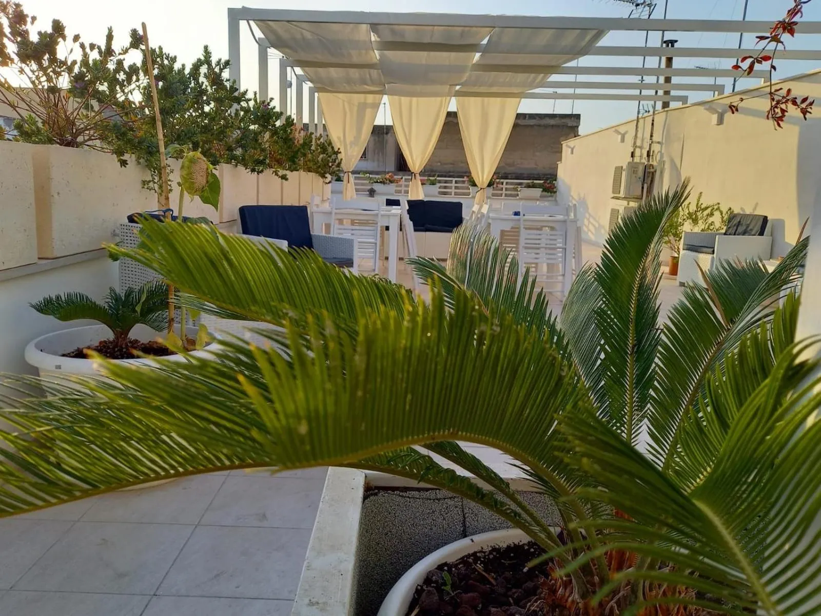 Balcony/Terrace in TRANI LA GRAZIA b&b